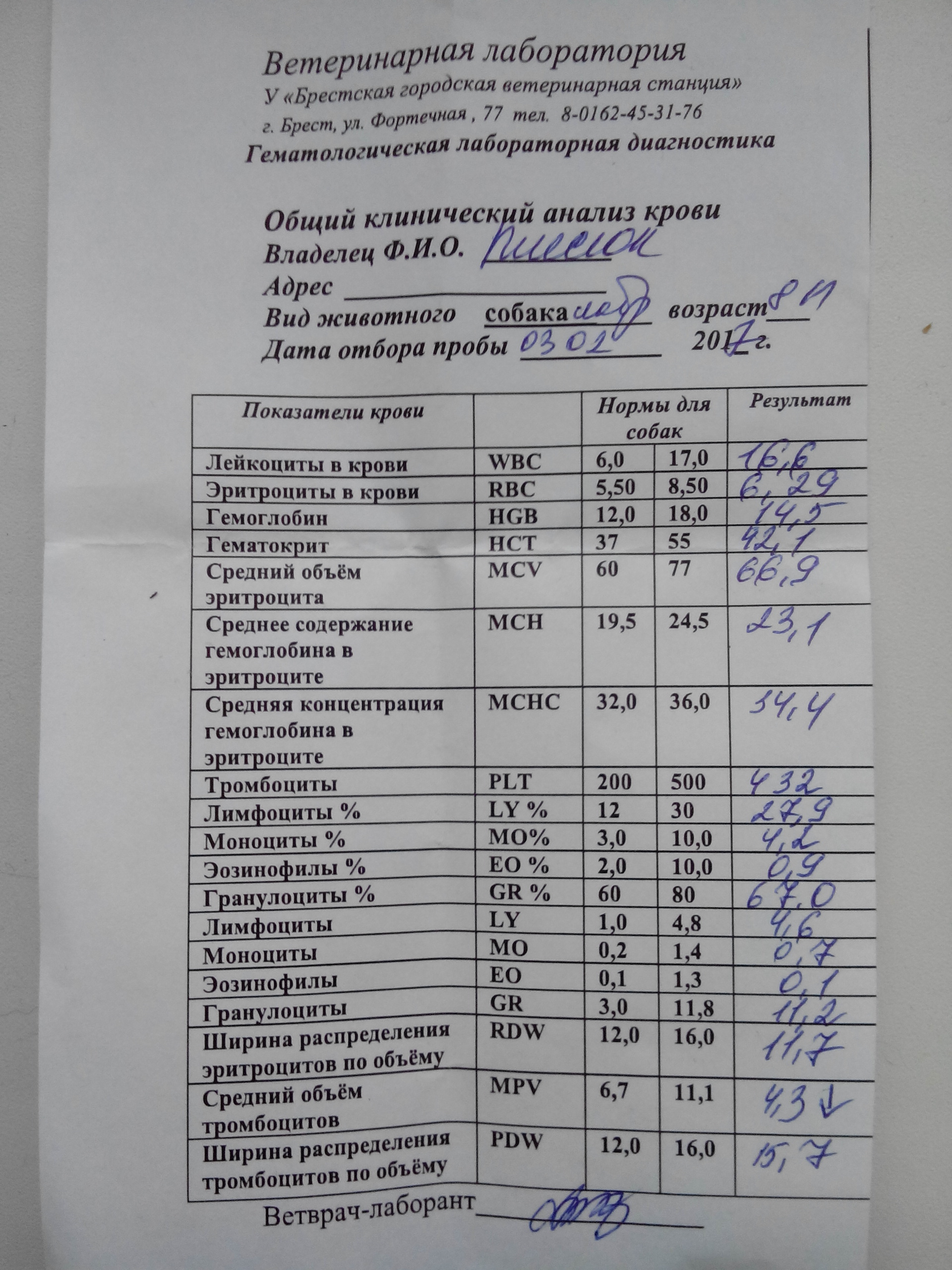 Урсаклин Купить В Бресте Цена В Аптеке