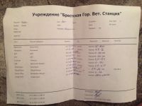 Заболела кошка