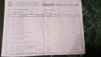 Собака