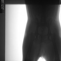 посоветуйте!!!!