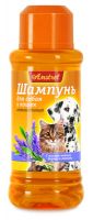 Сыпь на животе