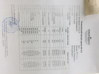 Понос у кошки.