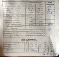 Нужен совет