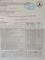 Кошка после стерилизации (кастрации)
