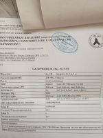 Кошка после стерилизации (кастрации)