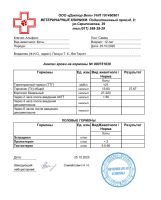 Резкое похудение у кота