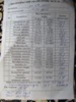 Болеет шар-пей