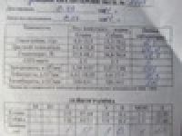 Болеет шар-пей