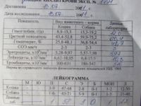 Болеет шар-пей