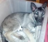 Отравление